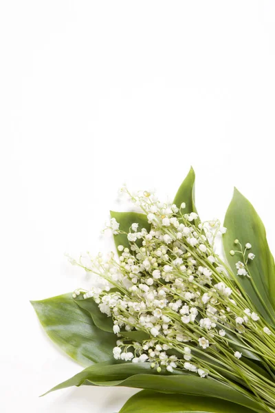 Lilly of the valley flowers and leaves bouquet isolated on a white background. Selective focus — Stock Photo, Image