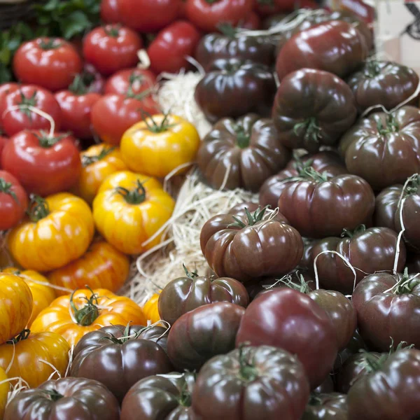Inghilterra, Londra, Southwark, Borough Market, bancarella di verdure, esposizione di pomodori — Foto Stock