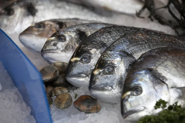 La spigola selvatica in vendita al Borough Market, Londra — Foto Stock