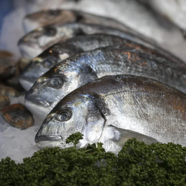 La spigola selvatica in vendita al Borough Market, Londra — Foto Stock