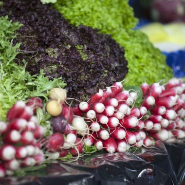 Turp ve salata sokak gıda pazarında Güney Fransa, Provence, çiftçilerin piyasa gıda grup
