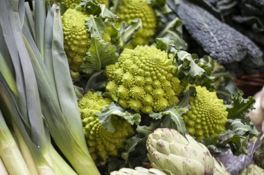 Natürmort romanesco karnabahar veya brokoli başkanları