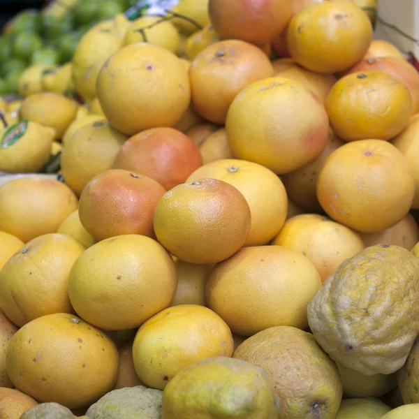 Den nyplockade apelsin och citron frukt på marknadsstånd — Stockfoto