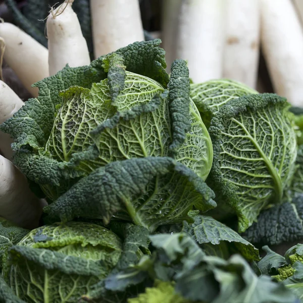 O repolho Savoy e nabos no mercado agrícola — Fotografia de Stock