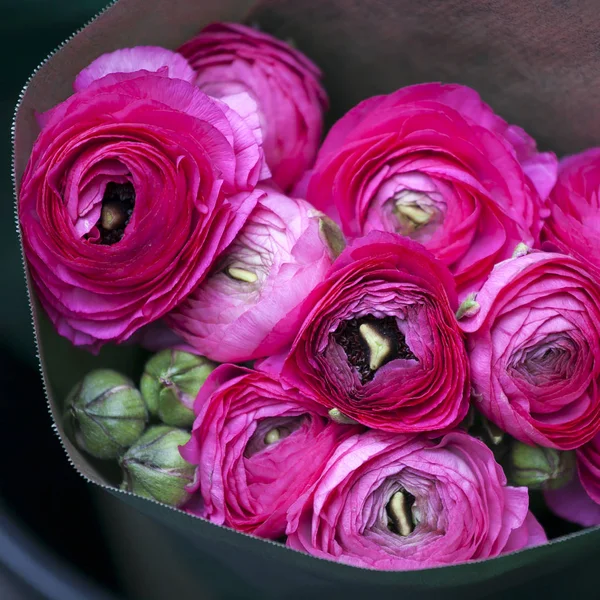 Czerwone, różowe kwiaty Ranunculus w bukiet — Zdjęcie stockowe