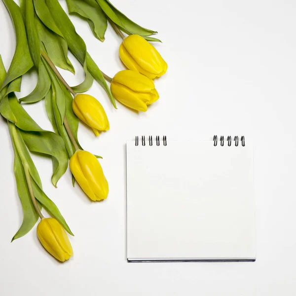 Los tulipanes Amarillos con el cuaderno sobre el fondo blanco —  Fotos de Stock