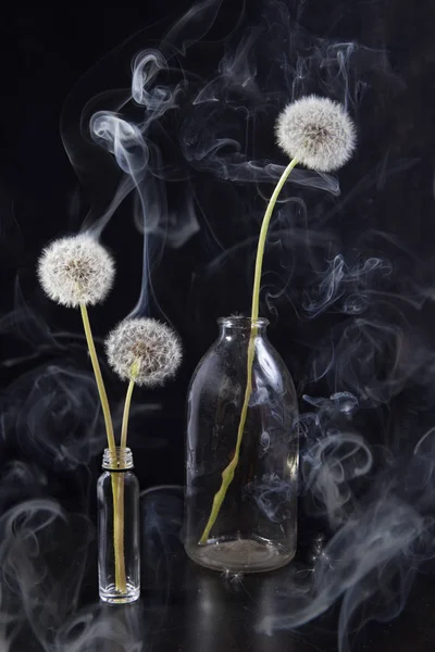 O detalhe do dandelion passado da flor com fumaça no fundo preto do borrão — Fotografia de Stock