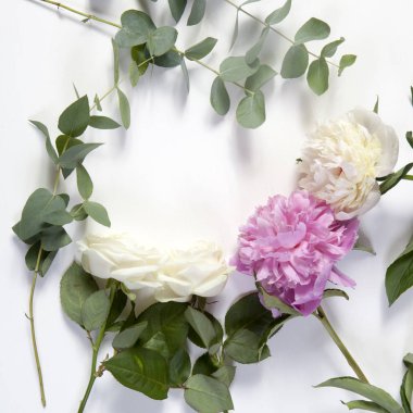 Pembe ve beyaz Şakayık bir çerçeve üzerinde beyaz bir arka plan formu ile okaliptüs ve beyaz güller.