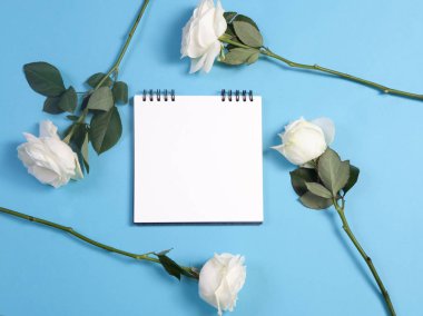 yaylar üzerinde defter notları için boş bir alanı ile mavi bir arka plan üzerinde beyaz bir gül ile.