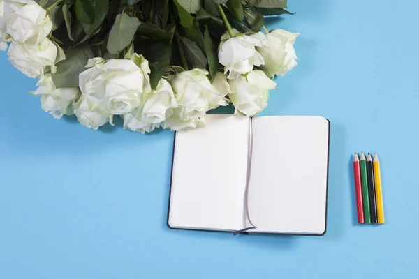 En anteckningsbok på fjädrarna med en vit ros på en blå bakgrund med ett tomt utrymme för anteckningar. — Stockfoto