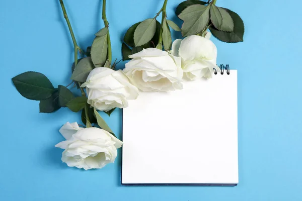 Cuaderno en los muelles con una rosa blanca sobre un fondo azul con un espacio vacío para notas . — Foto de Stock