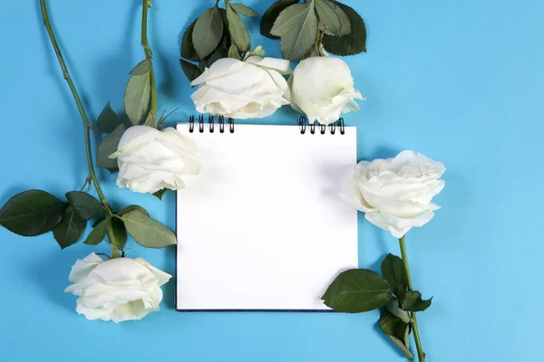 Carnet sur les ressorts avec une rose blanche sur fond bleu avec un espace vide pour les notes . — Photo