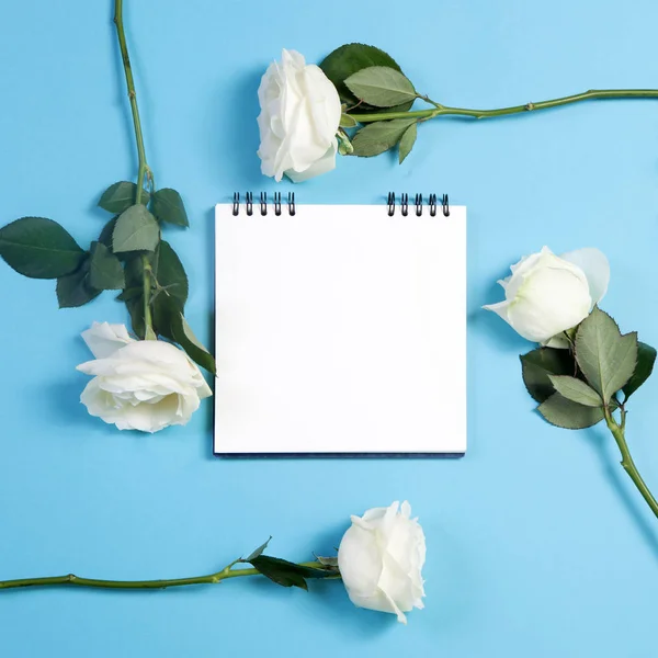 Carnet sur les ressorts avec une rose blanche sur fond bleu avec un espace vide pour les notes . — Photo