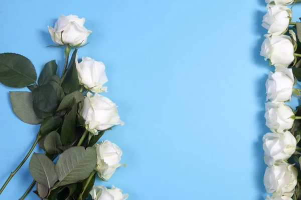 El Marco de las rosas blancas sobre el fondo azul —  Fotos de Stock