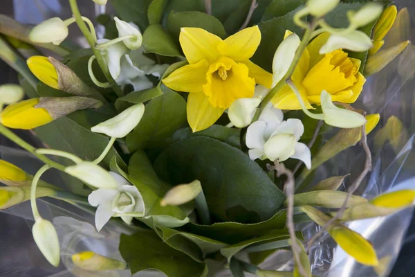 El ramo De boda para la novia de los narcisos amarillos y las orquídeas blancas — Foto de Stock