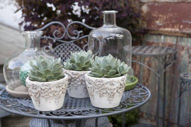 Leziz bir tencerede mükemmel bir dekorasyon ev ve ofis için mi