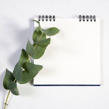 yaylar üzerinde defter notları için boş bir alan ile beyaz bir arka plan üzerinde beyaz bir gül ile.