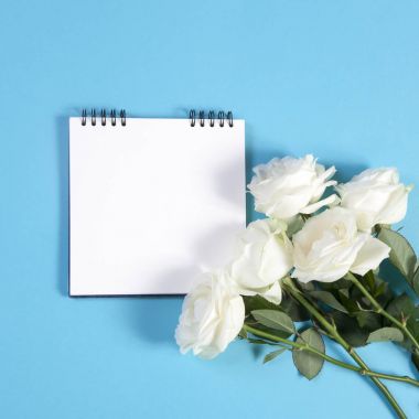 yaylar üzerinde defter notları için boş bir alanı ile mavi bir arka plan üzerinde beyaz bir gül ile.