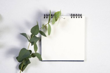 yaylar üzerinde defter notları için boş bir alan ile beyaz bir arka plan üzerinde beyaz bir gül ile.