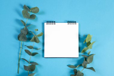 Yaylar üzerinde bir defter notları için boş bir alanı ile mavi bir arka plan üzerinde bir okaliptüs ile.