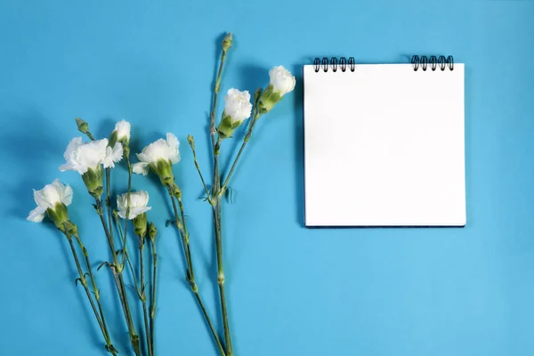 Yaylar üzerinde defter notları için boş bir alanı ile mavi bir arka plan üzerinde beyaz bir gül ile. — Stok fotoğraf