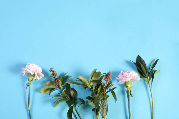 белая гвоздика и питтоспорум на синем фоне с пустым местом для заметок. Романтическая карта
