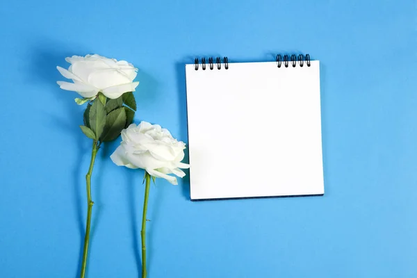 Carnet sur les ressorts avec une rose blanche sur fond bleu avec un espace vide pour les notes . — Photo