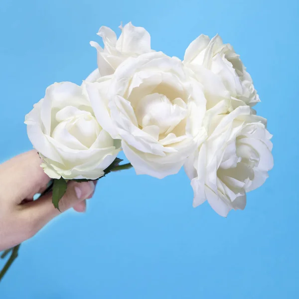 Flickans hand med fyra vita rosor på en blå bakgrund med ett tomt utrymme för anteckningar. Romantiska kort — Stockfoto
