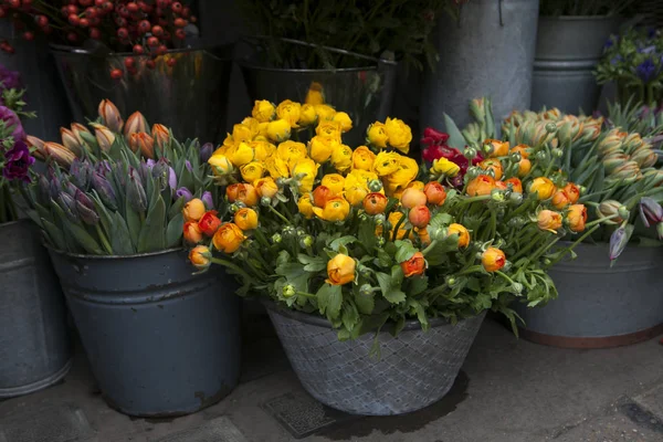 Желтые Ranunculaceae в тазу цинка на продажу — стоковое фото