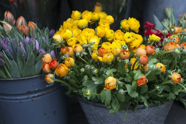 Żółty Ranunculaceae w miednicy cynku na sprzedaż — Zdjęcie stockowe