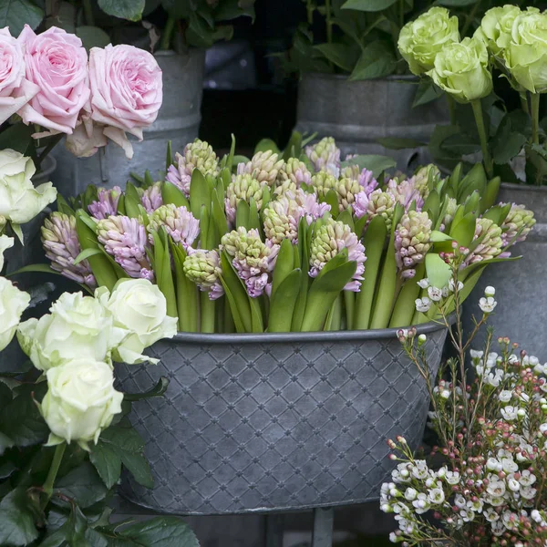 De roze bloeiende hyacinten in een aluminium bekken onder rozen — Stockfoto