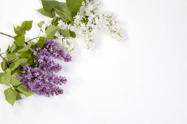 ahşap beyaz masa üzerinde mavi leylak