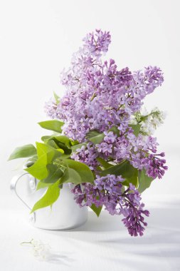 ahşap beyaz masa üzerinde mavi leylak