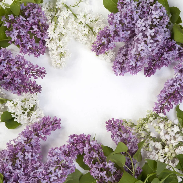 stock image the Blue lilac on a wooden white table