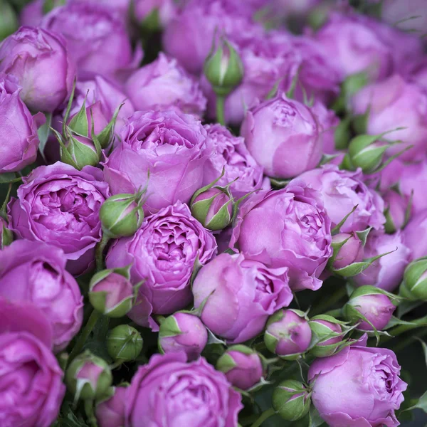 Il Bouquet di boccioli di fiori viola per le celebrazioni nuziali — Foto Stock