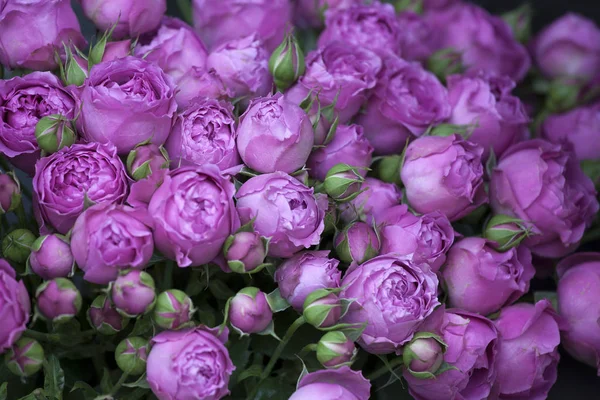 Il Bouquet di boccioli di fiori viola per le celebrazioni nuziali — Foto Stock