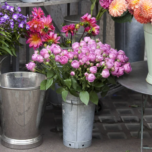 El Ramo de las rosas de color lila en el cubo galvanizado como adorno de la entrada a la tienda — Foto de Stock
