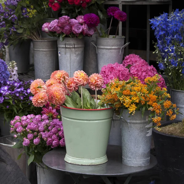 店に入り口近くの椅子に立っている亜鉛バケツにダリアの花束. — ストック写真