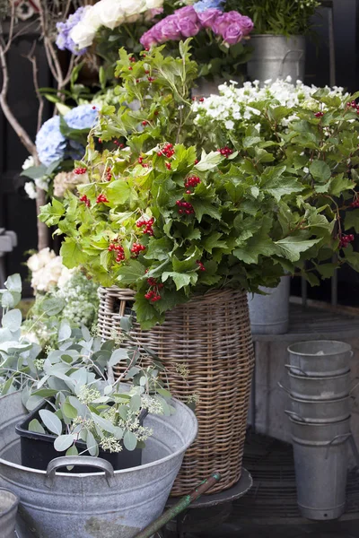 Bouquet dai rami di viburno rosso con bacche in un cesto di vimini sullo sfondo di rami di eucalipto in un bacino zincato — Foto Stock