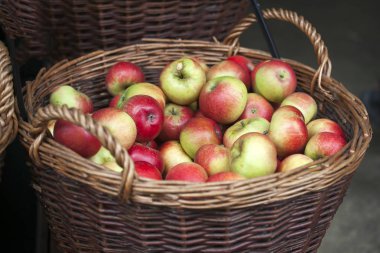 hasır sepetleri sonbahar pazarında Satılık elma farklı çeşitleri