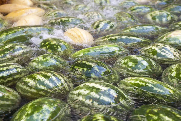 Die Wassermelonen und Melonen schwimmen im Wasser. Vorbereitung auf s — Stockfoto