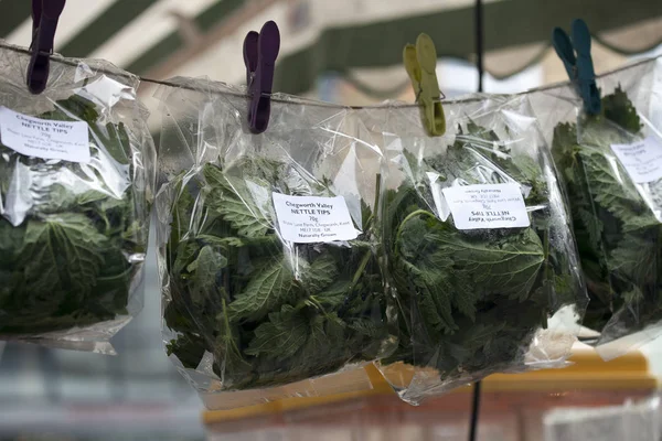Fresh nettles, packed in hermetically sealed plastic bags, are sold to make soup in the market — Stock Photo, Image