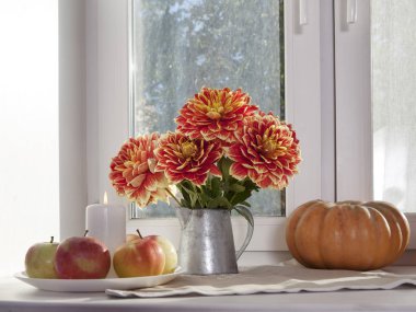 Teneke bir kavanoz, kabak, bir fincan çay ve güneşli havalarda penceresinde üzerinde elma kırmızı dahlias ile sonbahar natürmort