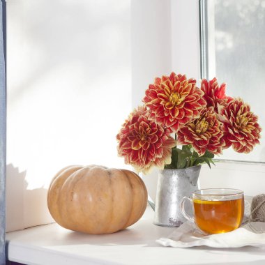 Teneke bir kavanoz, kabak, bir fincan çay ve güneşli havalarda penceresinde üzerinde elma kırmızı dahlias ile sonbahar natürmort