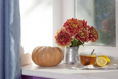 Teneke bir kavanoz, kabak, bir fincan çay ve güneşli havalarda penceresinde üzerinde elma kırmızı dahlias ile sonbahar natürmort