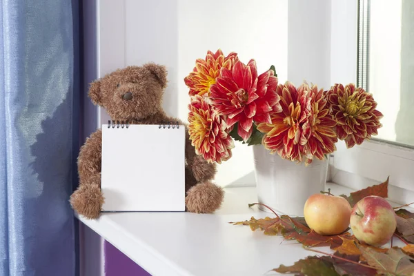 Medvídek vedle kytice podzimní Jiřin. Medvídek-drží Poznámkový blok pro psaní. — Stock fotografie