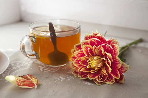 O Outono ainda vida com dálias vermelhas em um pote de lata, abóbora, uma xícara de chá e maçãs na janela em tempo ensolarado — Fotografia de Stock