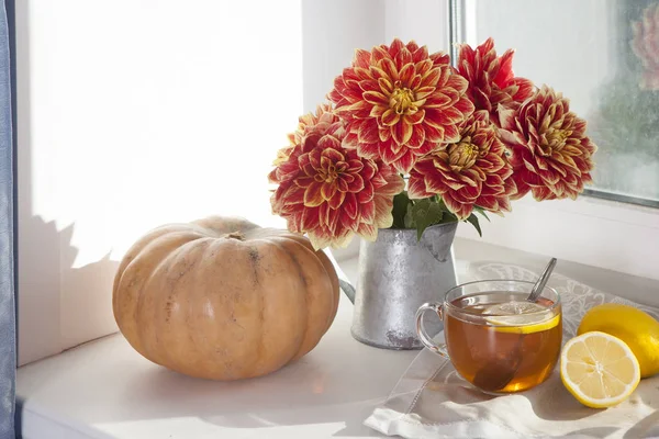 秋の静物を錫瓶, カボチャ, 紅茶、晴れた日のウィンドウにリンゴのカップで赤いダリア — ストック写真