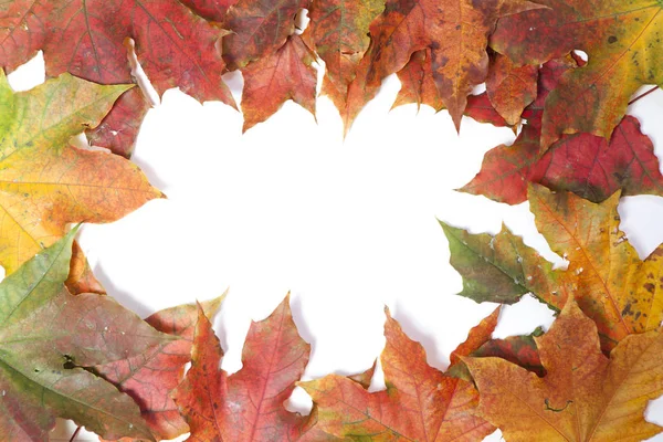 边框彩色的秋天叶子-孤立在白色 — 图库照片