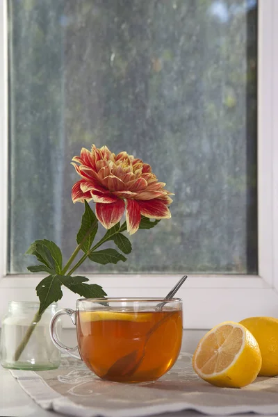 El Otoño la naturaleza muerta con las dalias del oranger en el bote de lata, la taza del té y en la ventana en el tiempo soleado —  Fotos de Stock